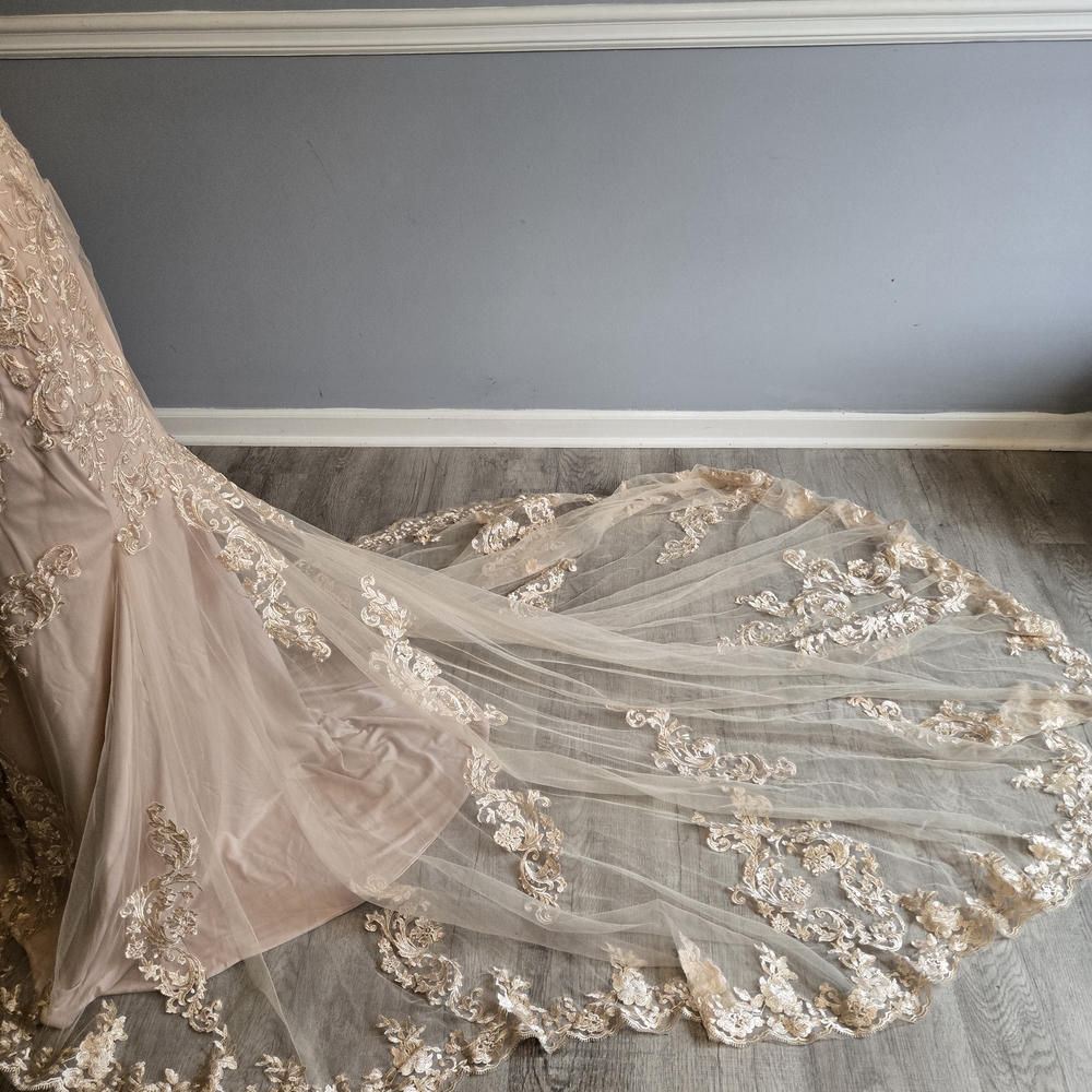 Elegant Lace Gown with Train - Picture 2 of 7